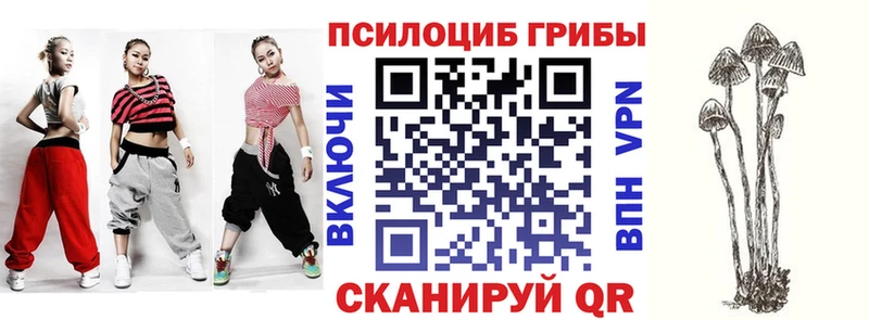 Псилоцибиновые грибы мицелий  Купить закладки  Верхний Тагил 